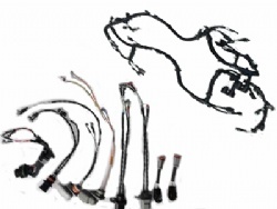 Engine Harness
