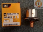 cat Thermostat Regulator