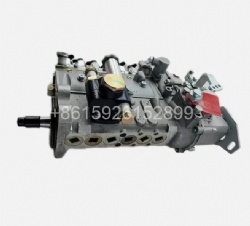 Fuel Injection Pump 4063844 For Cummins 6BTAA 5.9L Komatsu PC200-7 Diesel Engine