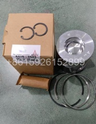 Piston with Ring STD for Deutz 04102523